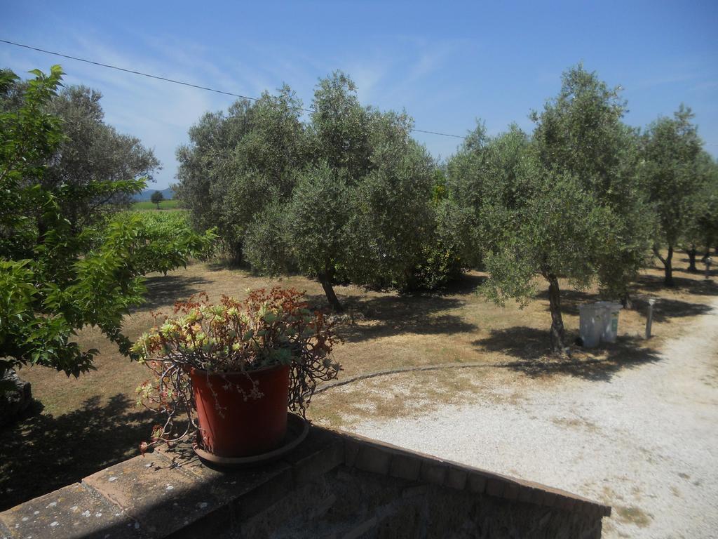 Agriturismo Tenuta Roccaccia Pitigliano Bagian luar foto