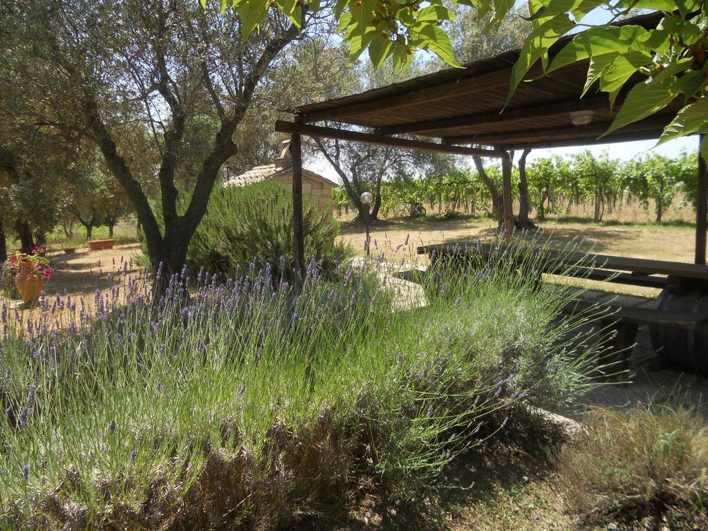 Agriturismo Tenuta Roccaccia Pitigliano Bagian luar foto